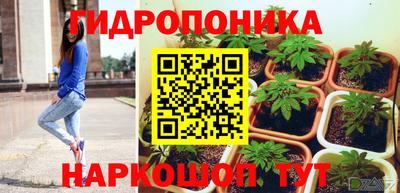 мяу мяу мука Ачхой-Мартан
