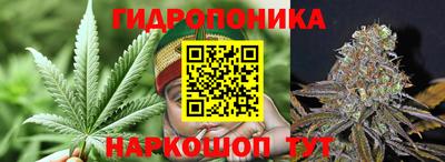 твердый Бердск