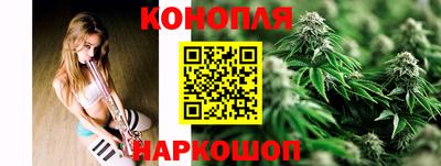 твердый Бердск