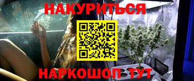 твердый Бердск