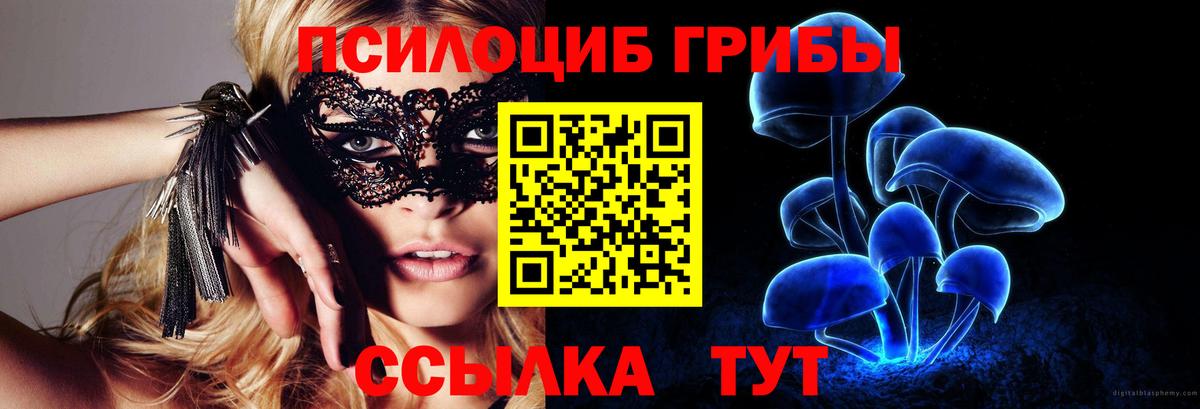 Галлюциногенные грибы Cubensis Петрозаводск